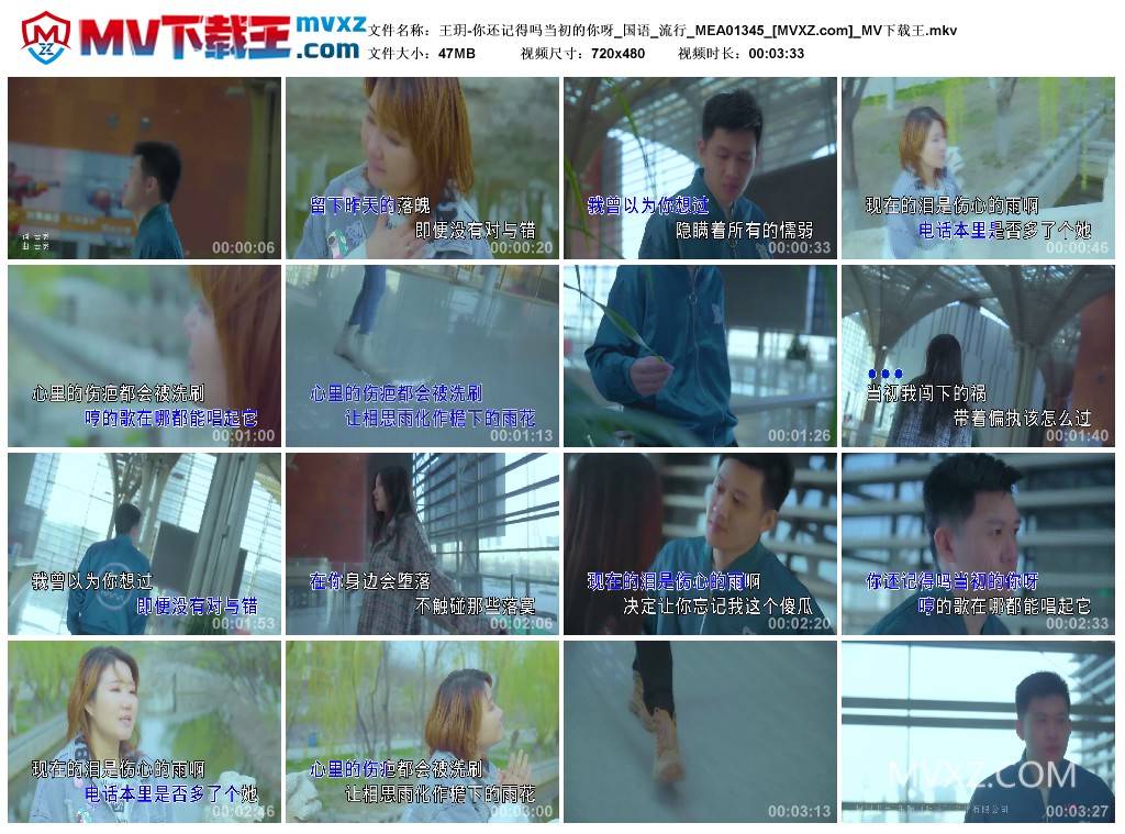 王玥-你还记得吗当初的你呀_国语_流行_MEA01345